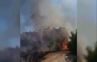 Ağaçlar cayır cayır yandı