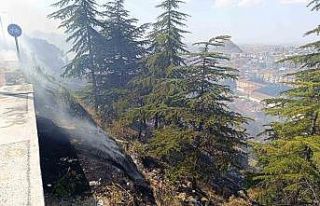 Ağaçlık alandaki yangın paniğe neden oldu