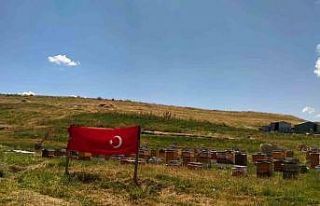 Ağrı ay yıldızlı bayraklarla donatıldı