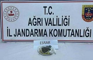 Ağrı’da uyuşturucu operasyonu: 511 kök kenevir...