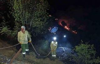 Ahır ve samanlıkta çıkan yangın ormanlık alana...
