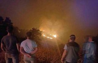 Ahmetli’de çıkan orman yangını Salihli’ye...