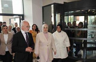 AK Parti İstanbul Milletvekili Ercan, orman yangınında...