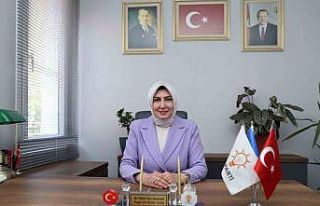 AK Partili Özen: "Çeşme’ye Karareis’ten...