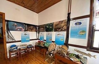 Akçakoca sualtı dünyası