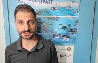 Akdeniz’de deniz suyu sıcaklığı arttı zehirli...