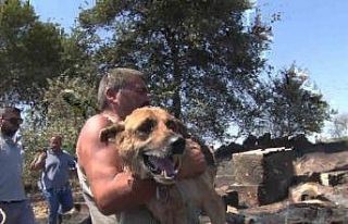 Aksu’da yürek yakan yangında evler hasar gördü,...