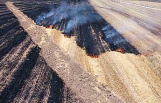 Alaca’da anız yangını: 70 dönüm arazi kül...