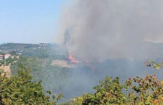 Alaplı’da ormanlık alanda yangın