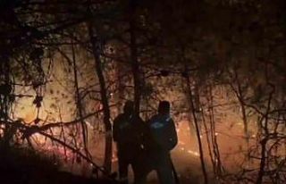 Alev çemberinin içinden geçtiler: Nefes kesen o...