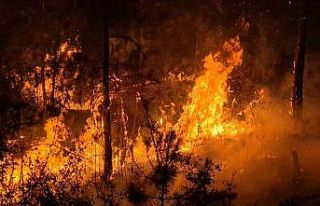 Alevler geçtiği yeri kararttı