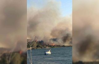 Aliağa’da otluk alanda yangın