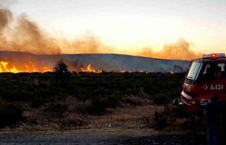 Aliağa’da otluk alandaki yangın kontrol altına...