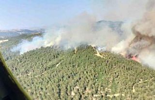 Altıeylül’de orman yangını