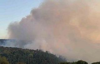 Altıeylül’deki orman yangınına müdahale sürüyor