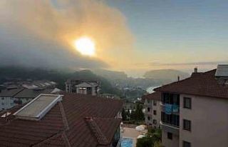 Aniden ortaya çıktı, korkulu anlara neden oldu