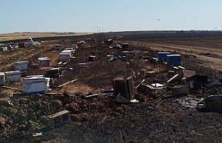 Anız yangını 400 arı kovanını kül etti