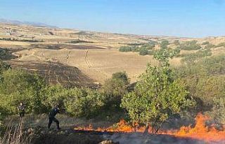 Anız yangını bahçelere sıçradı