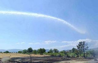 Ankara’da 40 dönüm ekili arazi yandı