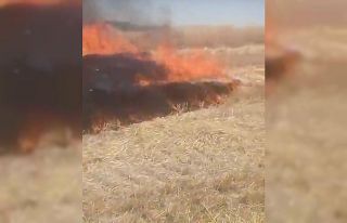 Ankara’da anız yangını