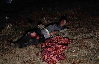 Antalya’da aslanın kaçtığı hayvanat bahçesinin...