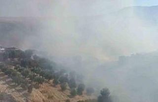 Antalya’da evlere yakın bölgede yangın