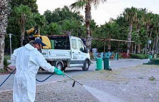 Antalya’da haşerelere karşı mücadele çalışmaları...