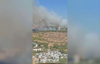 Antalya’da orman yangını