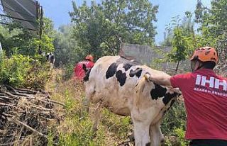 Antalya’da yerleşim yerlerini tehdit eden orman...