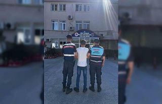 Arazi anlaşmazlığında kan aktı