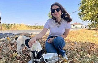 Armatürler sokak hayvanları için mama ve su kabına...