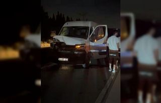 Arnavutköy’de başıboş manda zincirleme kazaya...