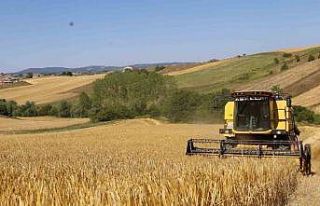 Arpa hasadı bereketli başladı