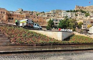 Artuklu ve Cumhuriyet Meydanı lavanta ile renklendi