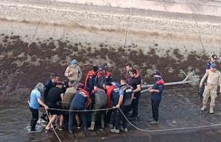 Asker harçlığı biriktirmek için geldiği Nevşehir’e...