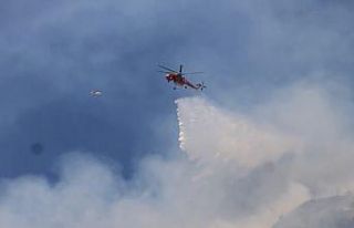 Aydın’daki orman yangınında 7 hava aracı, 244...