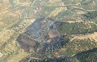 Aydın’daki yangın kontrol altına alındı