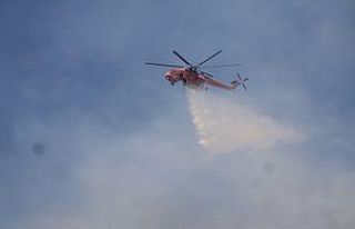 Aydın’daki yangına müdahale sürüyor