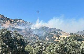 Aydın’daki yangında 2 kişi gözaltına alındı