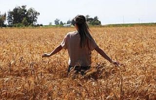 Aydıntepe’de termometreler 37 dereceyi gösterdi