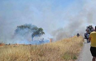 Ayvalık’ta çıkan arazi yangını bölgedeki iş...