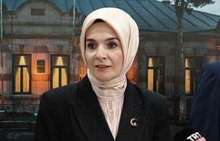 Bakan Göktaş: Orman yangınlarının ardından 12...