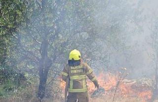 Balıkesir İtfaiyesi 12 günde 971 yangına müdahale...