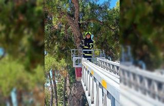 Balıkesir itfaiyesinden kedi kurtarma operasyonu