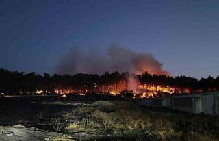 Balıkesir Savaştepe’de çıkan orman yangınına...