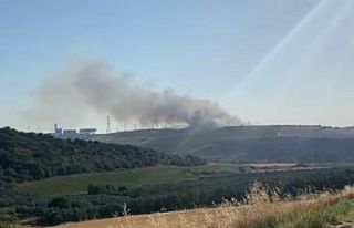 Balıkesir’de çıkan yangına havadan ve karadan...