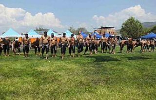 Balıkesir’de Kızıklı Güneşleri’ne 314 pehlivan...