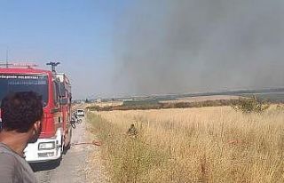 Balıkesir’de mera yangını