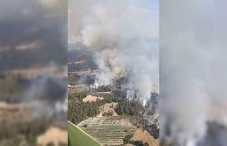 Balıkesir’de orman yangını