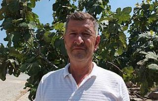 Balıkesirli çiftçi oturduğu caddeyi meyve ağaçlarıyla...